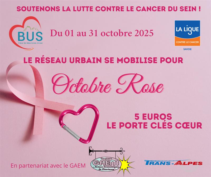 Coeur de Maurienne Arvan Bus 